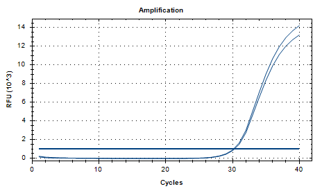 Legionella pneumophila nucleic acid detection standard-BNCC