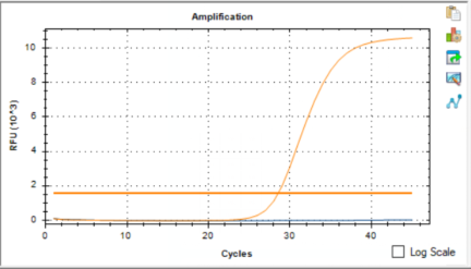 A group streptococcus nucleic acid detection standard-BNCC