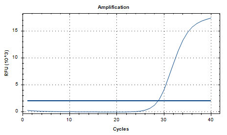 Helicobacter pylori DNA standard-BNCC