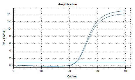 Helicobacter pylori DNA standard-BNCC