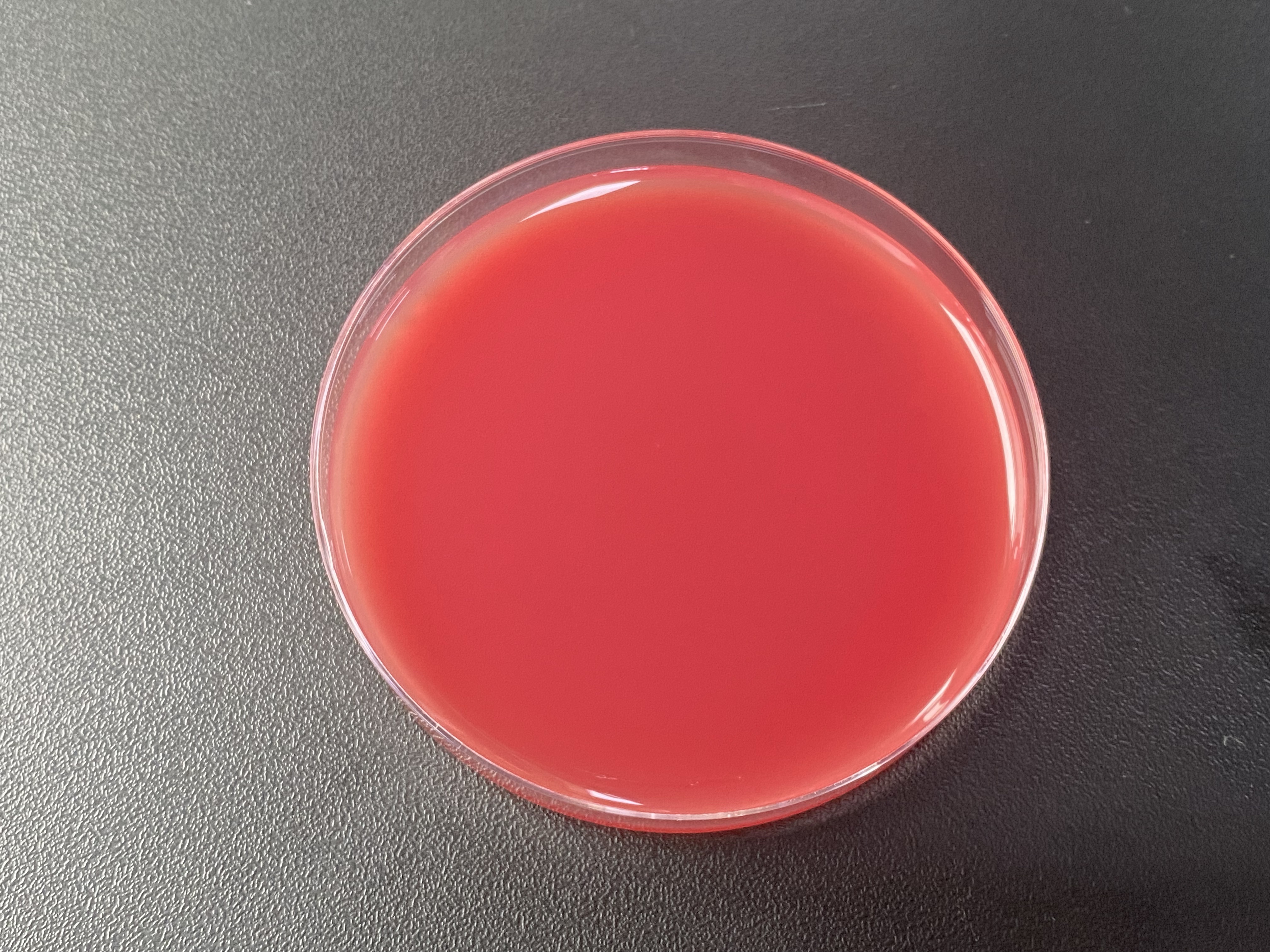 Indoor quality control product for liquid deoxyribonucleic acid of Haemophilus influenzae-BNCC