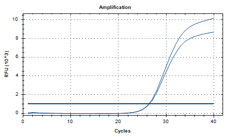 Neisseria meningitidis DNA standard-BNCC