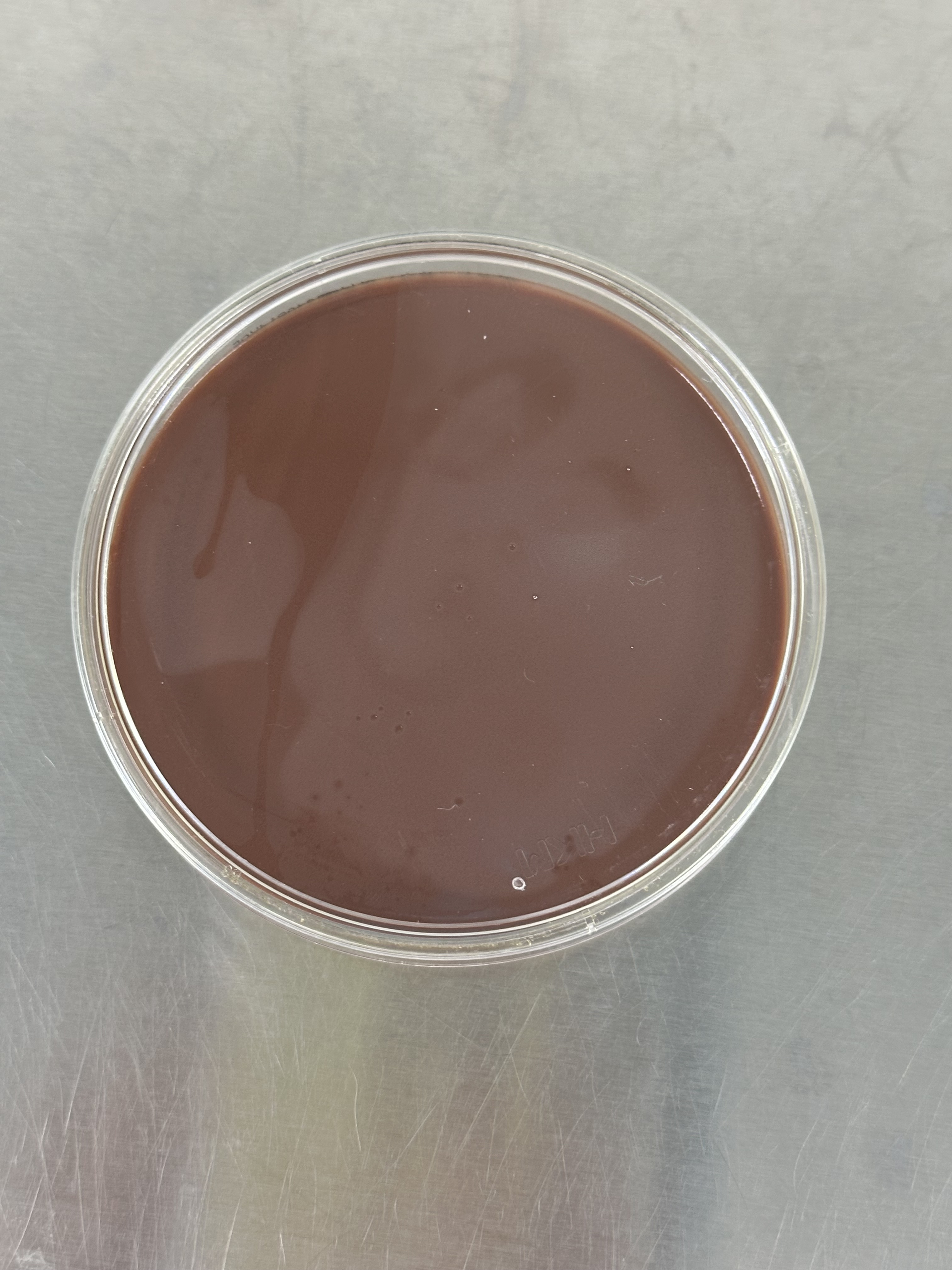 Vaginal Gardnerella DNA Liquid In-House Quality Control Material-BNCC