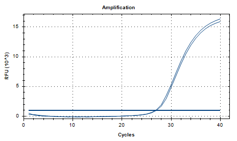 Escherichia coli O157:H7 DNA Standard-BNCC