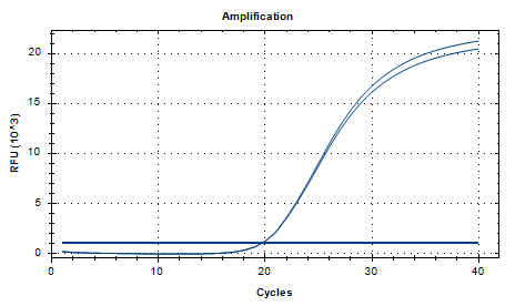 Aspergillus flavus DNA standard-BNCC