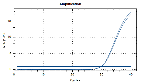 Klebsiella pneumoniae DNA standard-BNCC