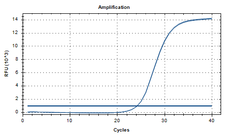 Pneumococcal DNA Standard-BNCC