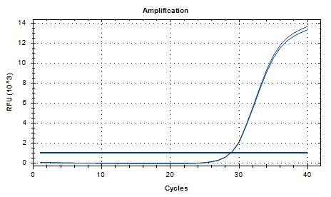 Bacillus cereus DNA Standard-BNCC