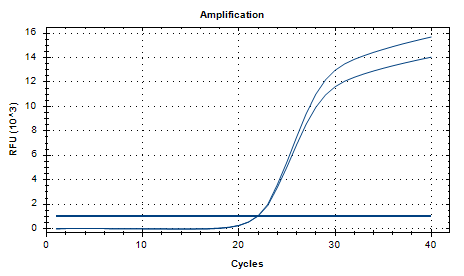 Bacillus cereus DNA Standard-BNCC