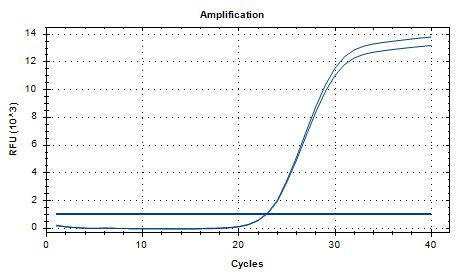 Mouse Actinobacterium DNA standard-BNCC