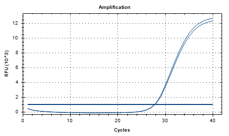 Human Adenovirus 16 DNA Standard-BNCC