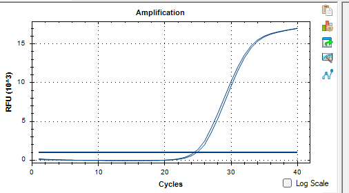 Dual pathway Prevotella DNA standard-BNCC