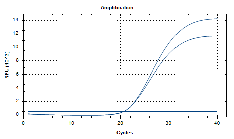 Polymorphic Bacteroides deoxyribonucleic acid liquid indoor quality control product-BNCC