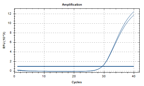 Porphyromonas gingivalis DNA Liquid Room-Temperature Internal Quality Control Material-BNCC