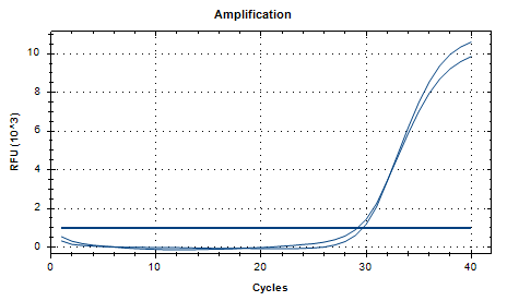 Indoor quality control samples of deoxyribonucleic acid liquid from Trichoderma hofstadii-BNCC