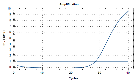 Pseudomonas aeruginosa DNA standard-BNCC
