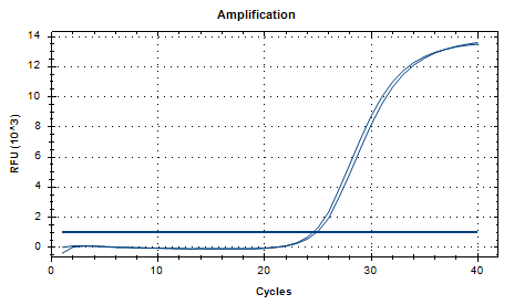 Mycoplasma pneumoniae DNA standard-BNCC