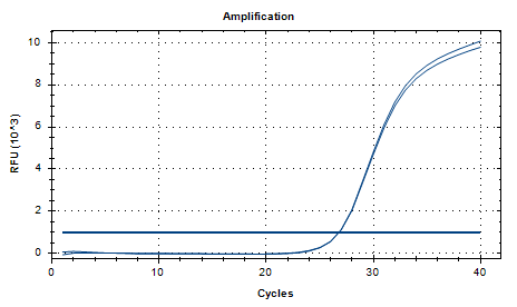 Mycobacterium fortuitum DNA Reference Material-BNCC