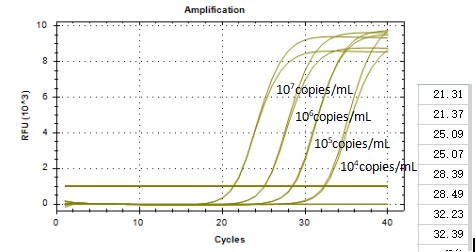 Indoor quality control material for deoxyribonucleic acid of Pseudomonas oryzae in rice-BNCC