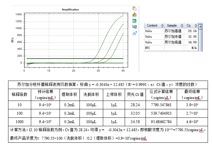 Mycobacterium szulgai DNA standard-BNCC