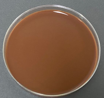 Neisseria meningitidis liquid indoor quality control product-BNCC