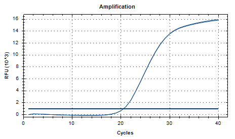 Reference substance for nucleic acid of Bifidobacterium brevis (Heat-inactivated) (strongly positive)-BNCC