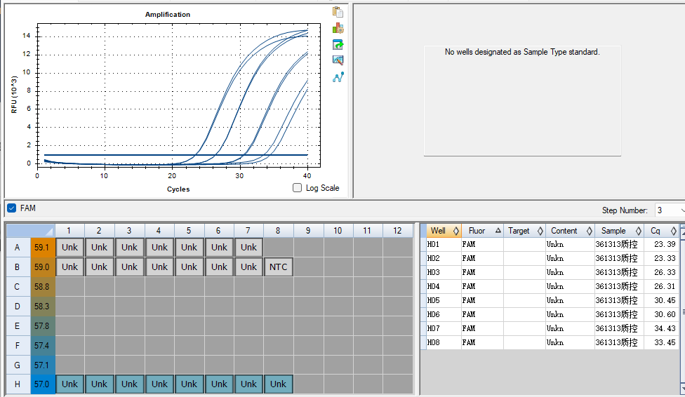 Mycobacterium celatum DNA lab quality control-BNCC
