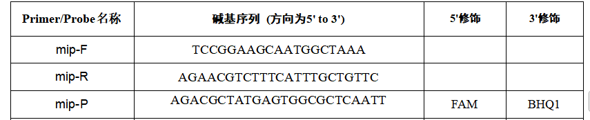 Legionella pneumophila DNA standard-BNCC