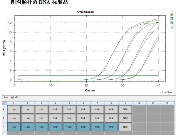 Enterobacter cloacae DNA standard-BNCC