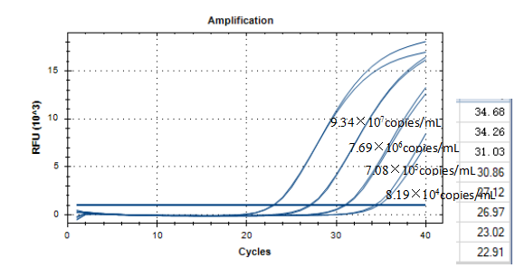 Mycobacterium triplex DNA standard-BNCC