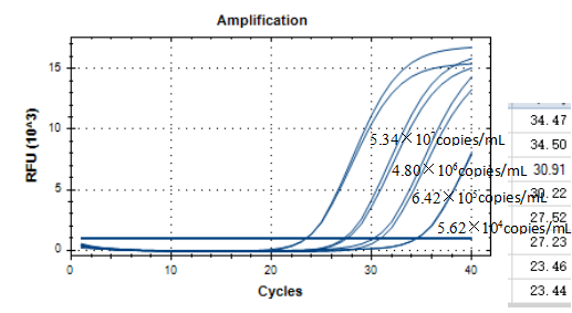 Paecilomyces lilacinus DNA standard-BNCC