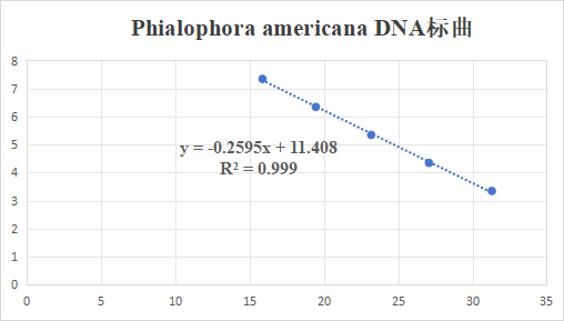 Phialophora americana DNA lab quality control-BNCC
