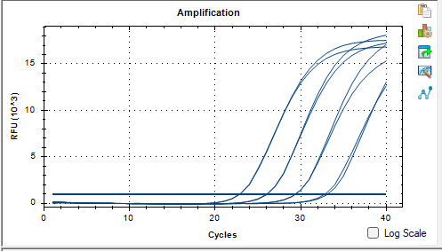 Human bocavirus NP1 gene plasmid DNA standard-BNCC
