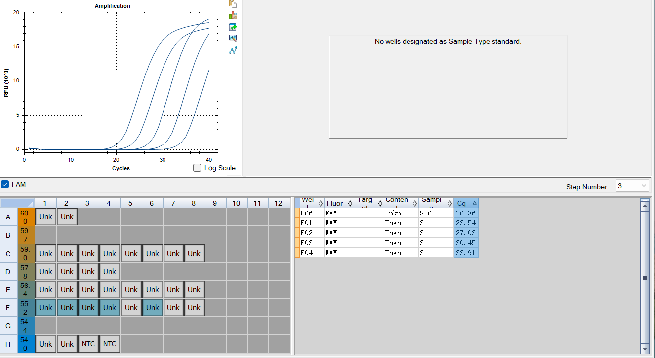 Hantavirus S gene pseudovirus RNA standard-BNCC