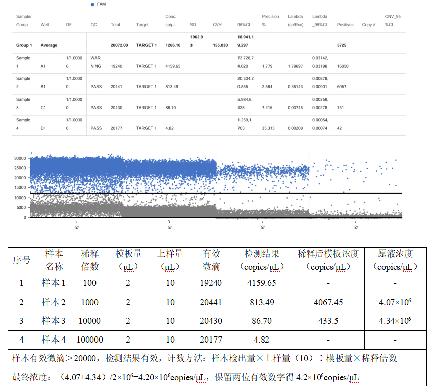 Hoxhlet's bacteria DNA standard-BNCC