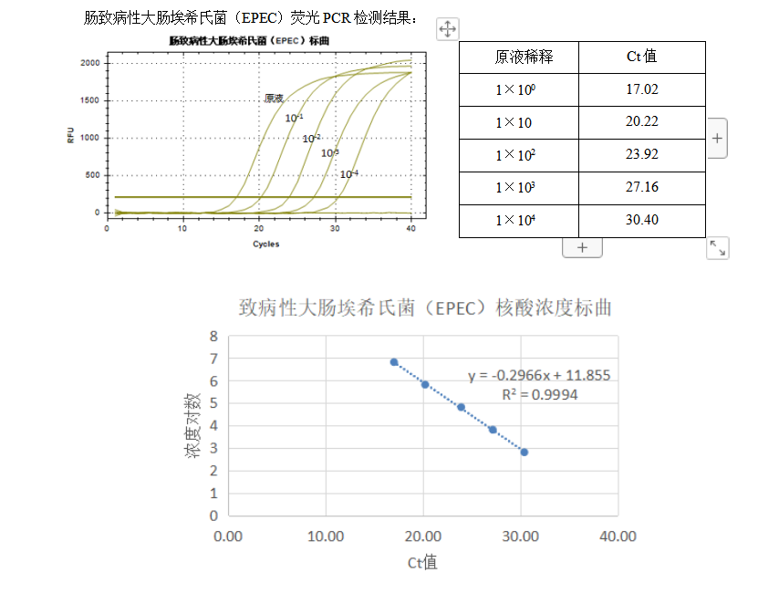 Indoor quality control material for Escherichia coli deoxyribonucleic acid liquid with enterohemorrhagic origin-BNCC