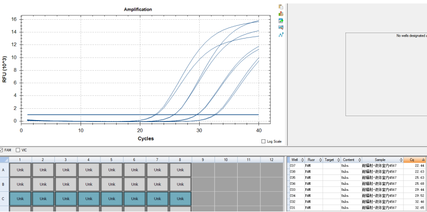 Radiation resistant abnormal cocci DNA standard-BNCC