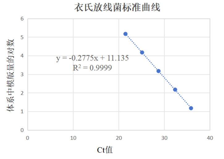 Yishi actinomycete DNA standard-BNCC