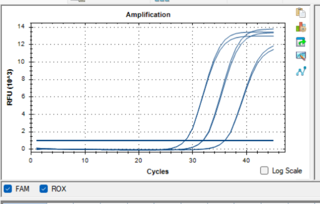 Simian rotavirus RNA standard-BNCC