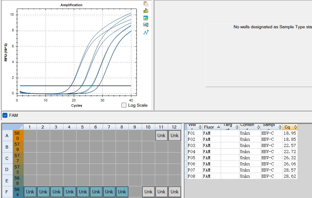 Hepatitis B virus (HBV) C-type whole gene DNA standard-BNCC