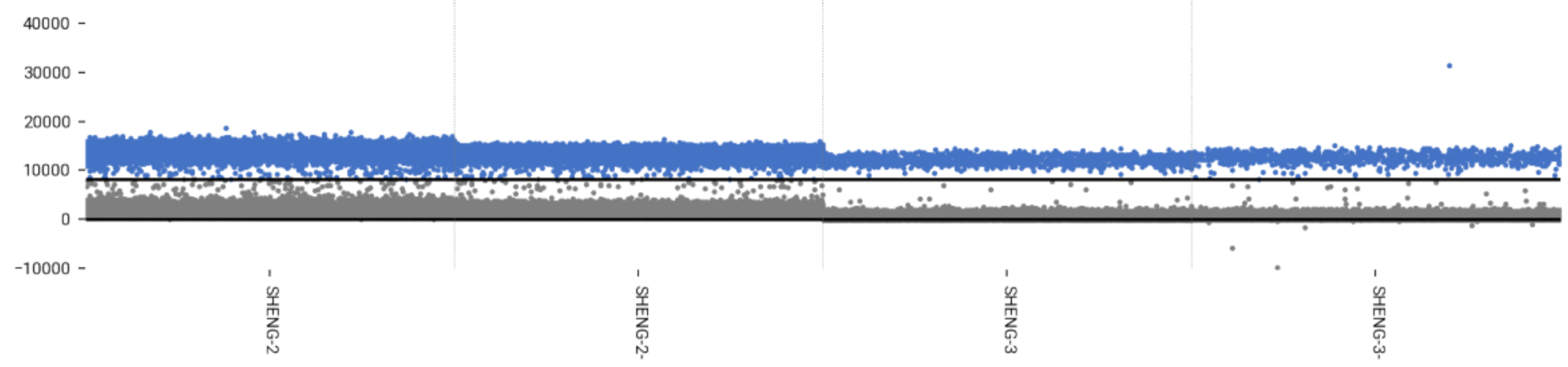 Mycobacterium lentiflavum DNA Standard-BNCC