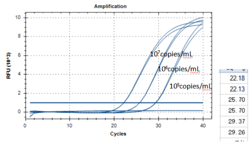 Mycobacterium lentiflavum DNA Standard-BNCC
