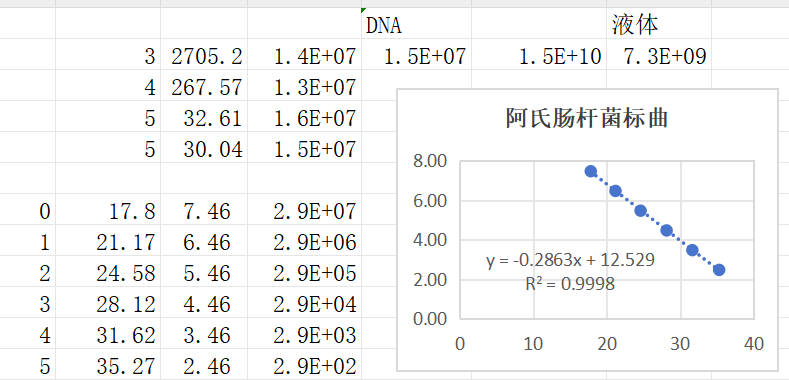 Escherichia coli DNA standard-BNCC