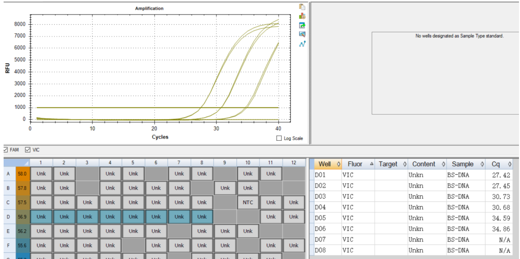 Borrelia burgdorferi DNA standard-BNCC