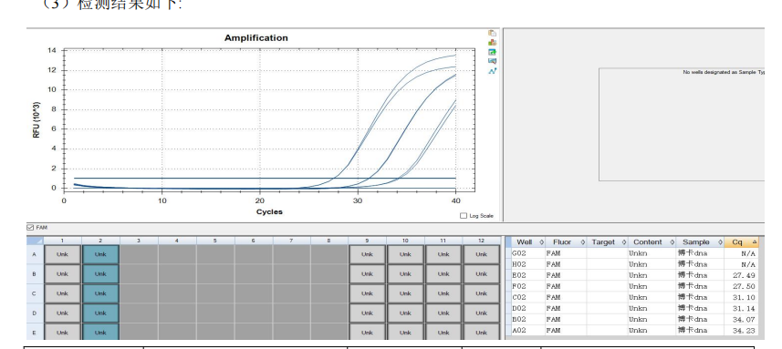 Boca virus DNA standard-BNCC