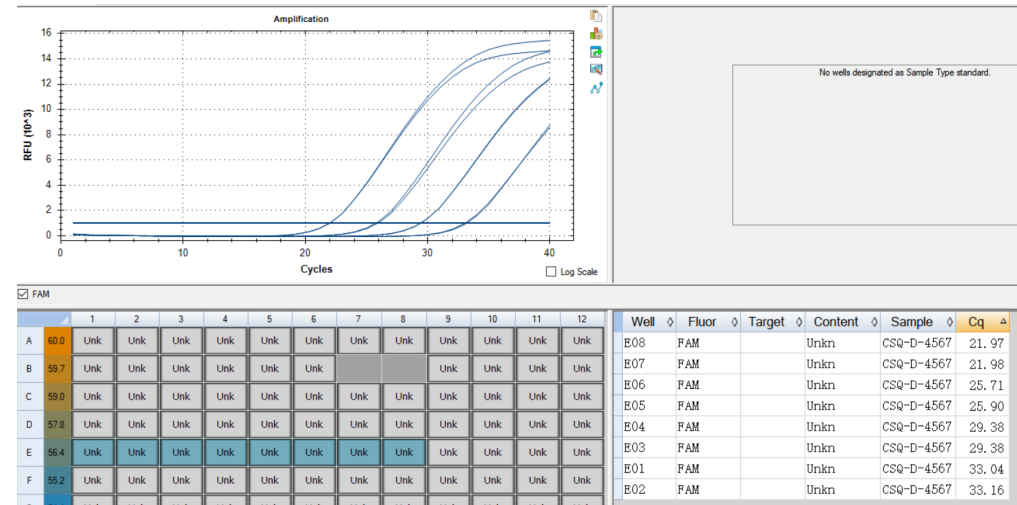 Bifidobacterium longum DNA Standard-BNCC