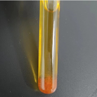 Bifidobacterium longum DNA Standard-BNCC