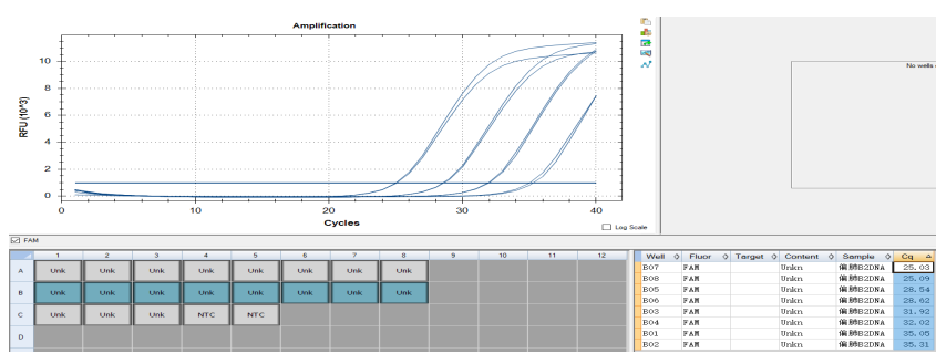 Human Parainfluenza Virus Type 4b RNA Standard-BNCC