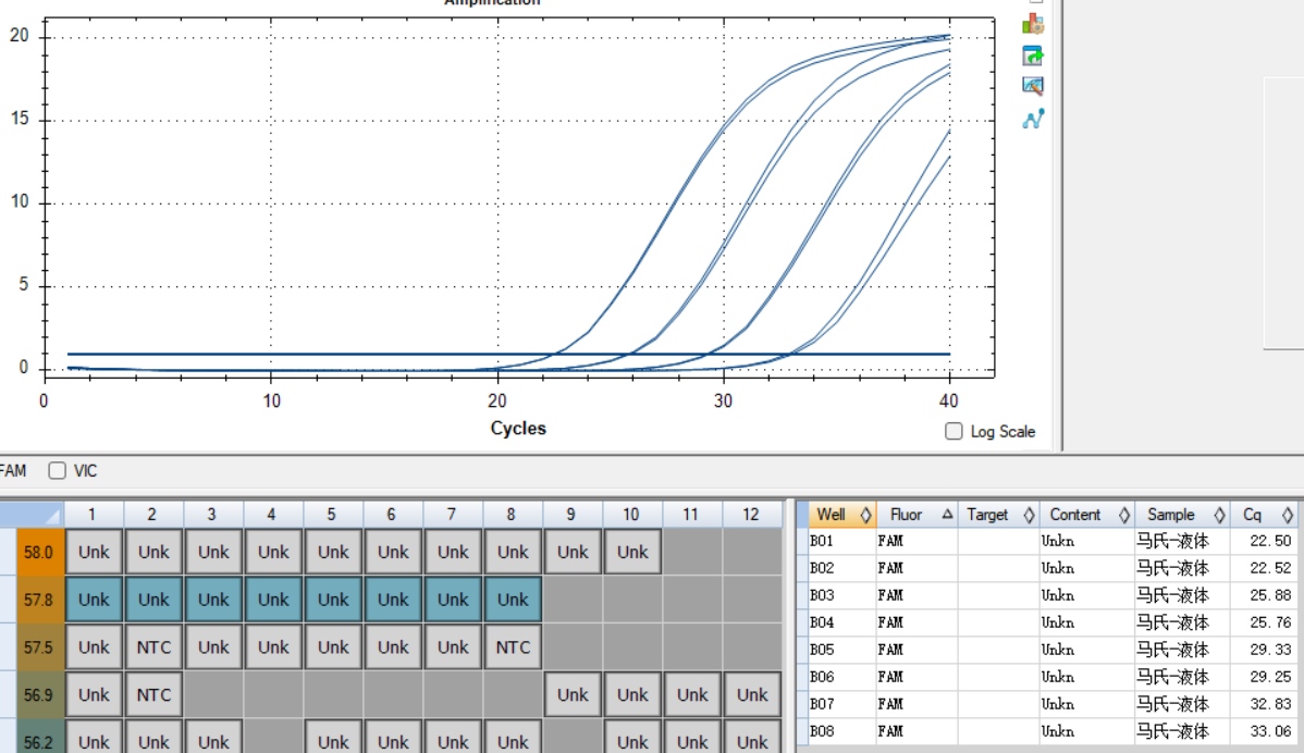 DNA standard of Mycobacterium martensii-BNCC