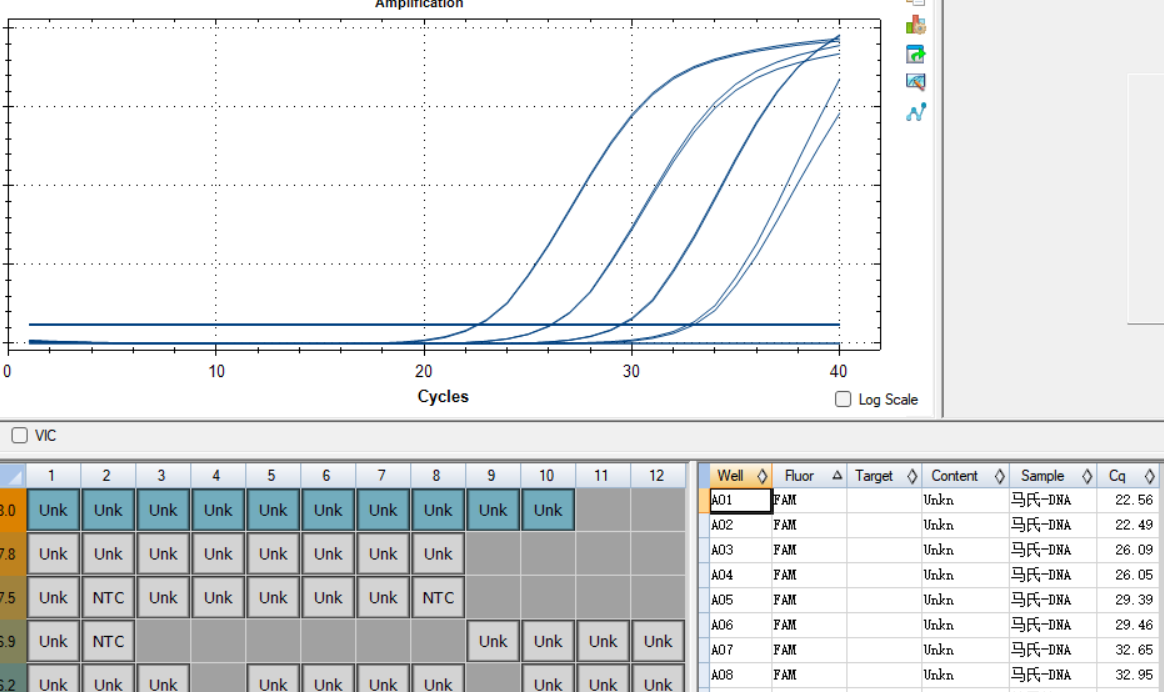 DNA standard of Mycobacterium martensii-BNCC